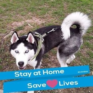 Meet your Posher, Deanna